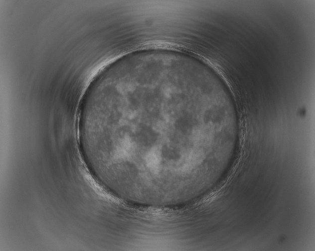 X0000116000987200912101313