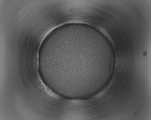 X0000116000988200912101313