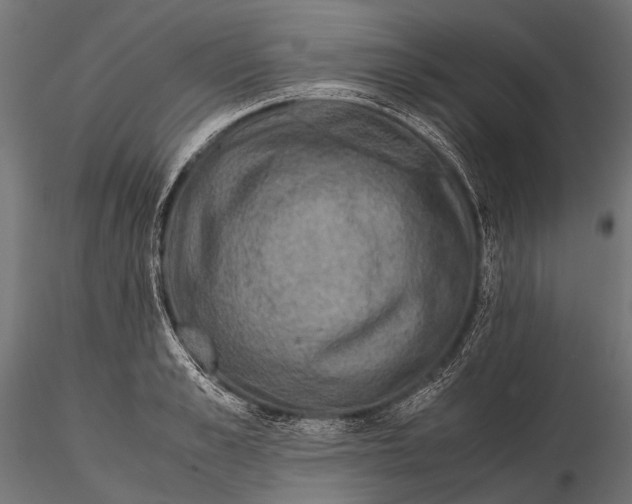 X0000116000989200912101313