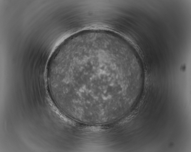 X0000116000990200912101313