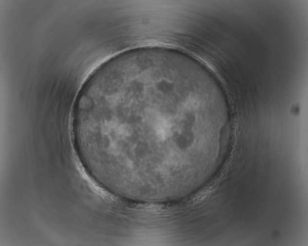 X0000116000991200912101312