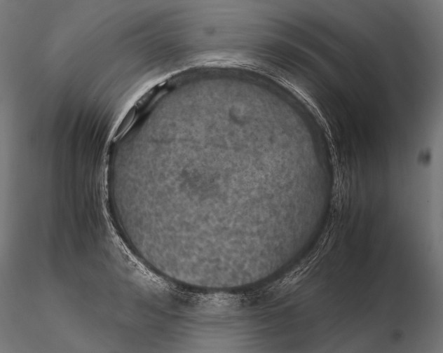 X0000116000992200912101312