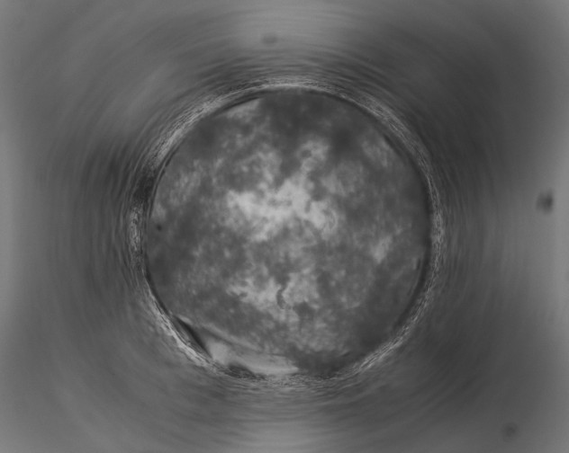 X0000116000993200912101312