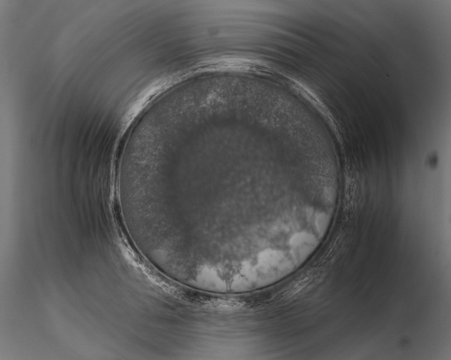 X0000116000994200912101312