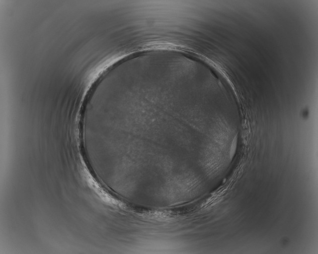 X0000116000995200912101312