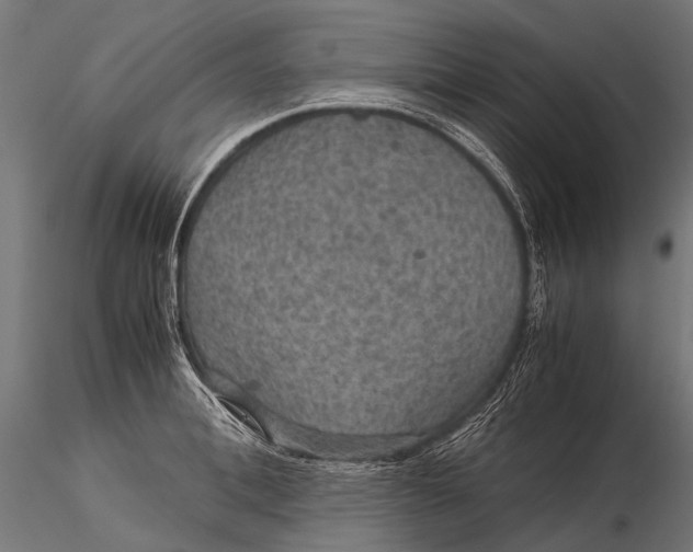 X0000116000996200912101312