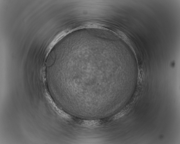 X0000116000997200912101312