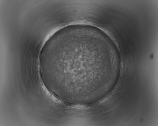 X0000116000998200912101312