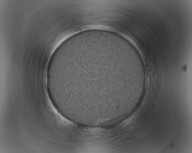 X0000116000999200912101312