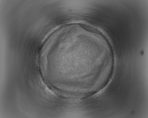 X0000116001001200912101312