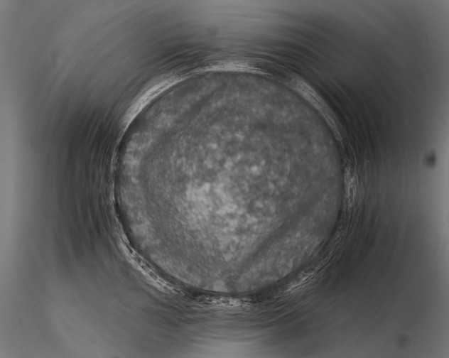 X0000116001002200912101312