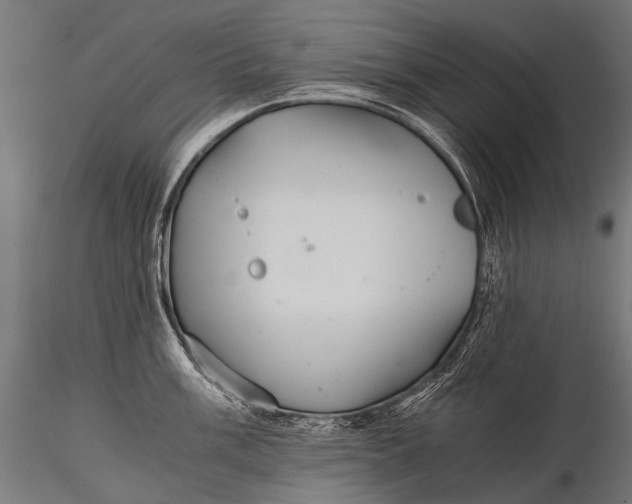 X0000116001003200912101312