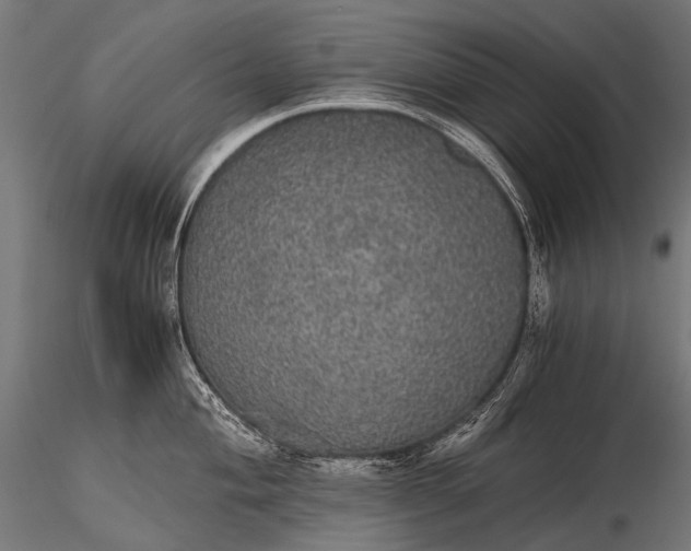 X0000116001004200912101312