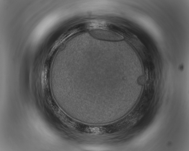 X0000116001005200912101312