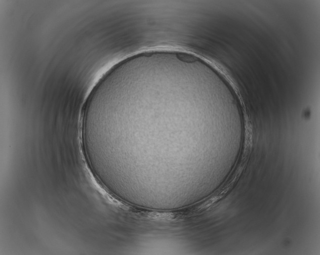 X0000116001006200912101312