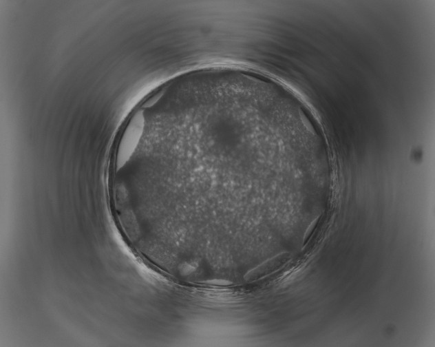 X0000116001007200912101312