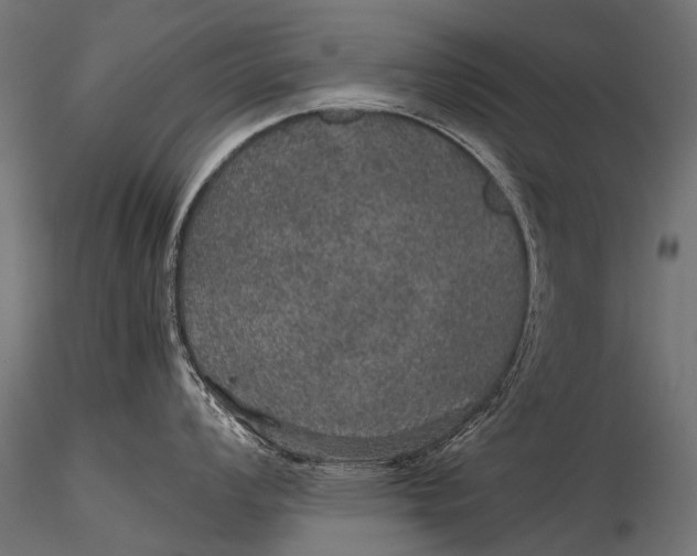 X0000116001008200912101312