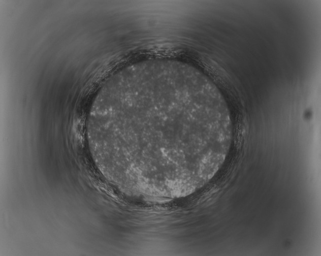 X0000116001010200912101311