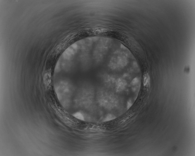 X0000116001011200912101312