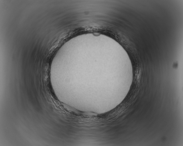 X0000116001012200912101312