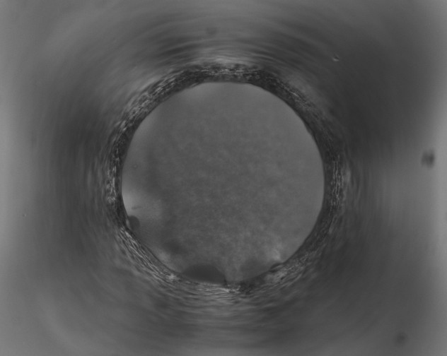 X0000116001013200912101312