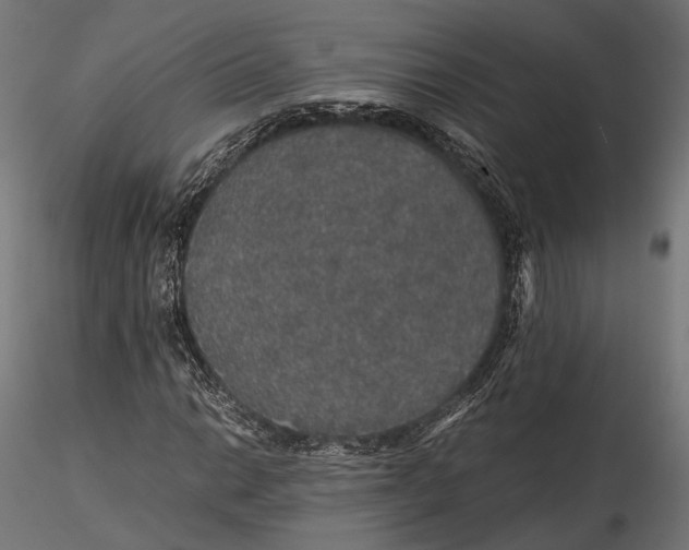 X0000116001014200912101312