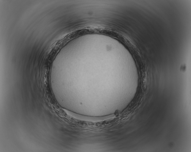 X0000116001016200912101312