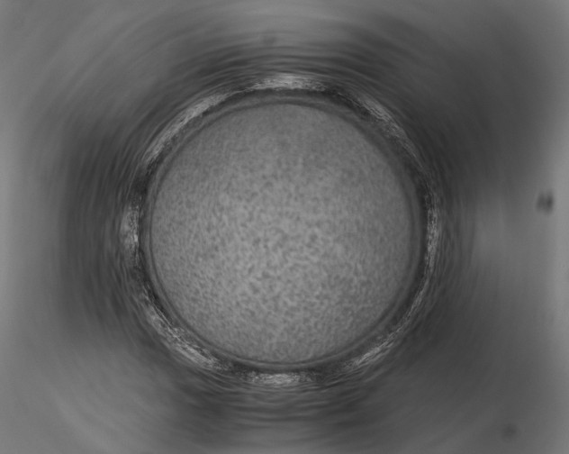 X0000116001017200912101312