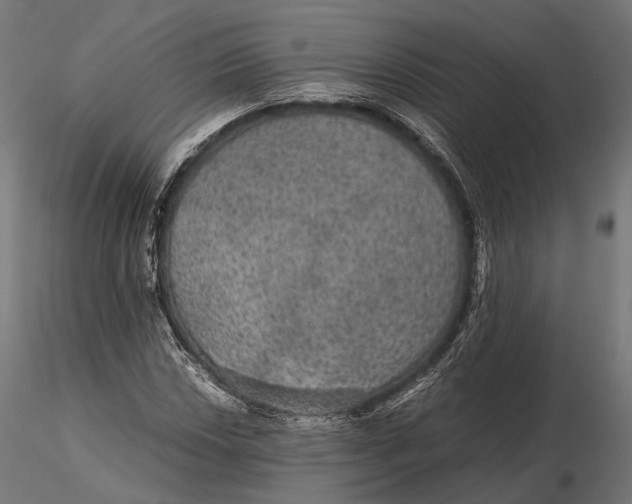 X0000116001018200912101312