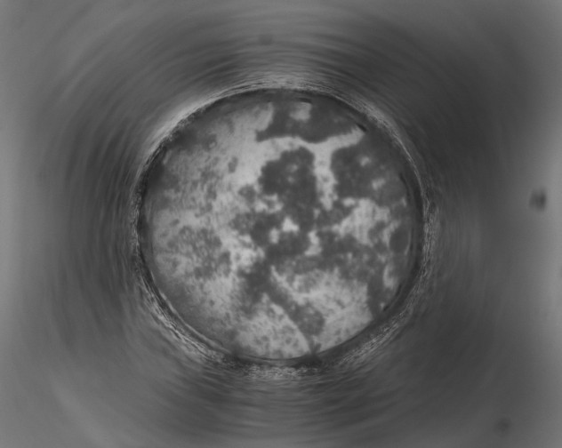 X0000116001019200912101312