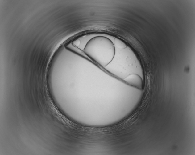 X0000116001020200912101312