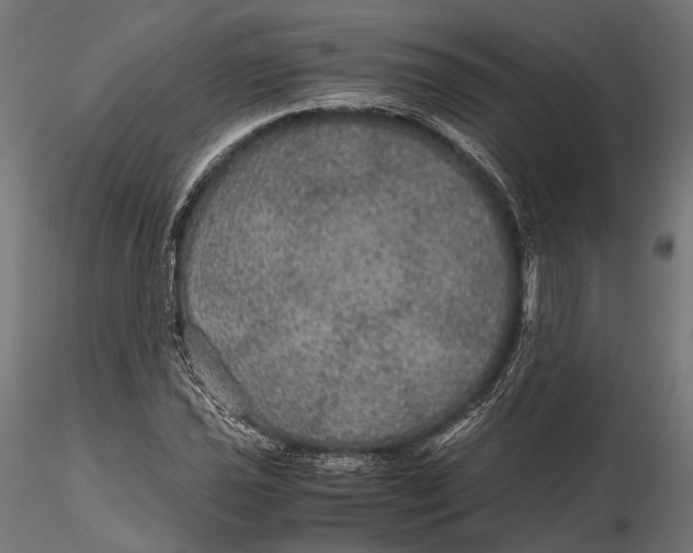 X0000116001021200912101312