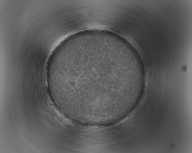 X0000116001022200912101312