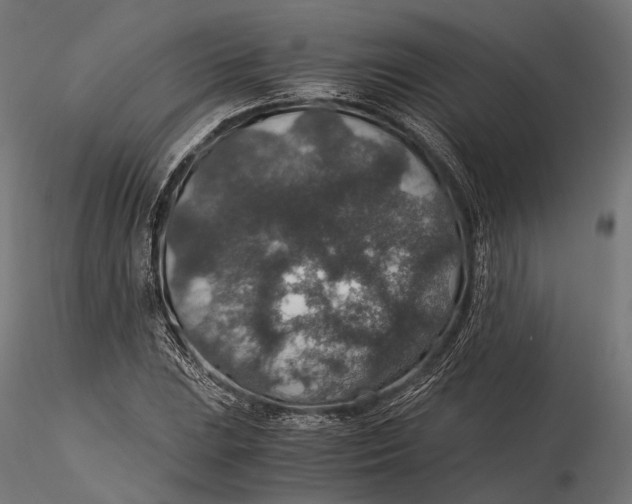 X0000116001023200912101312