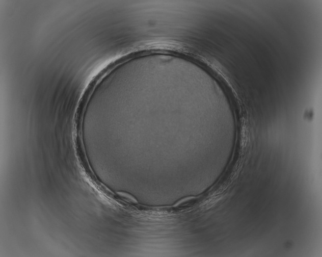 X0000116001024200912101312