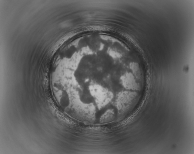 X0000116001025200912101312