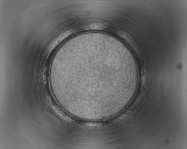 X0000116001026200912101312