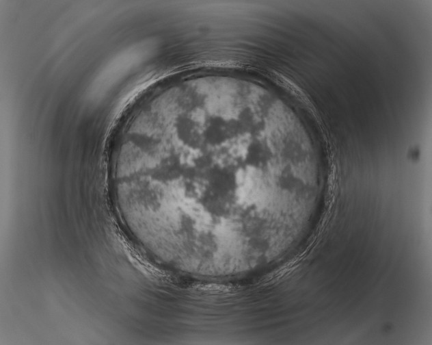 X0000116001027200912101312