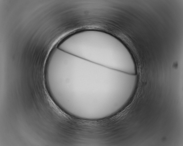 X0000116001028200912101312