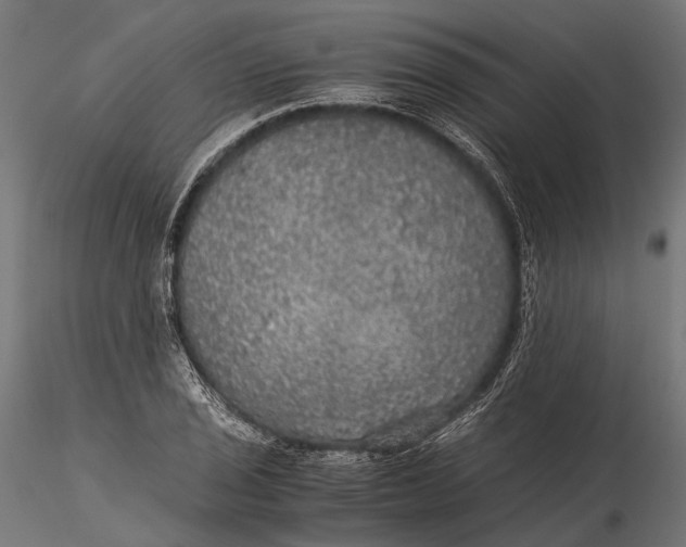 X0000116001029200912101312