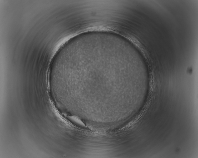 X0000116001030200912101312