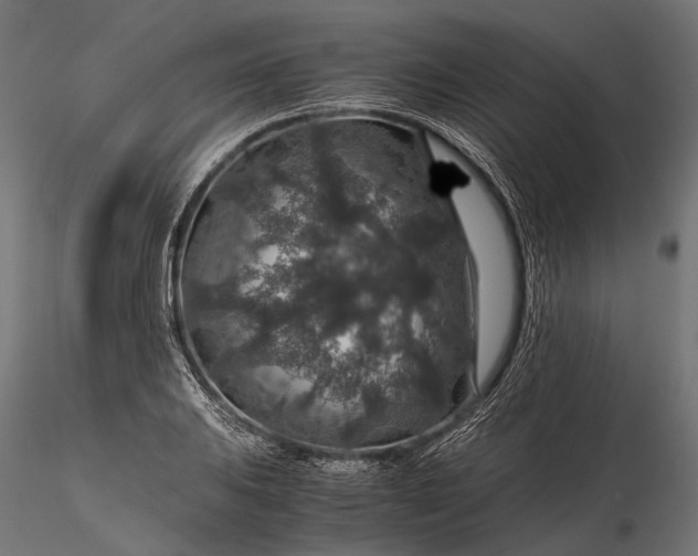 X0000116001031200912101312