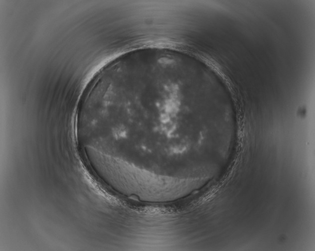 X0000116001032200912101312