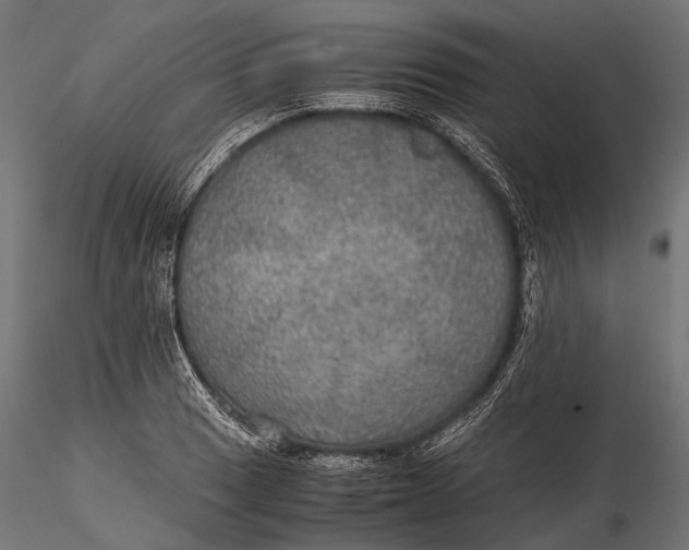 X0000116001033200912101312