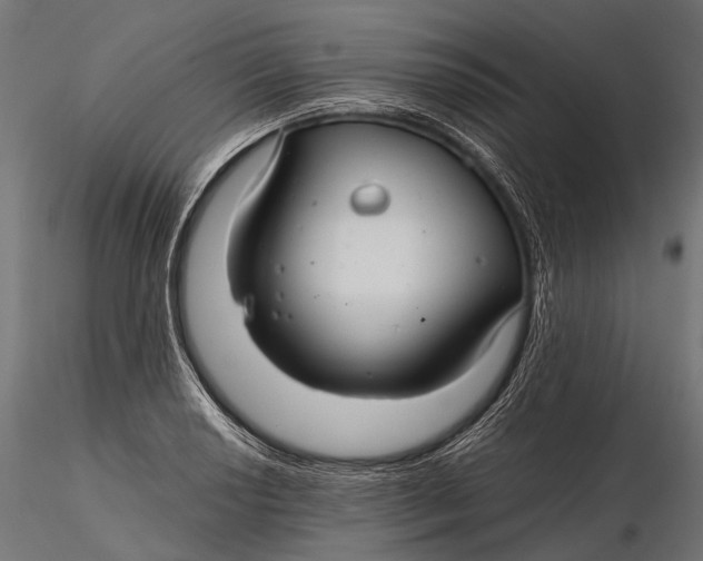 X0000116001034200912101312