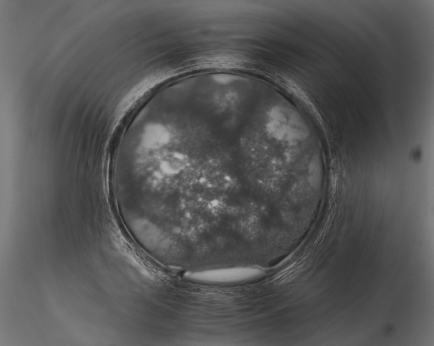 X0000116001035200912101312