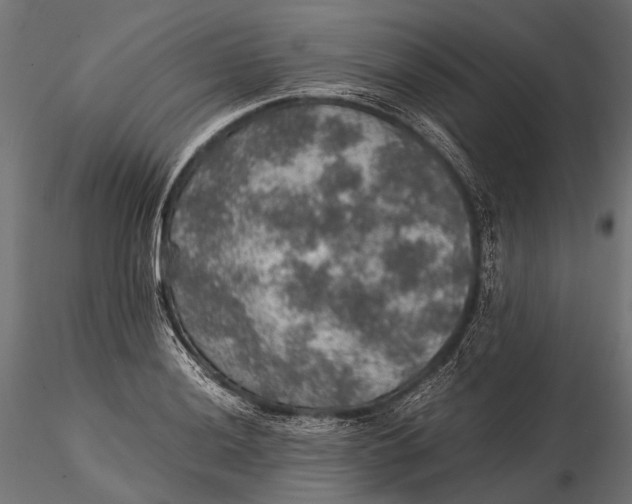 X0000116001036200912101312