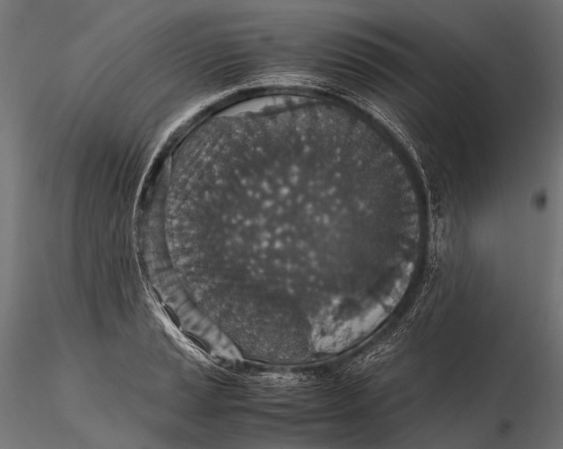 X0000116001037200912101312