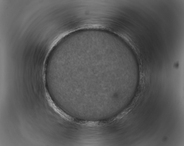 X0000116001038200912101312