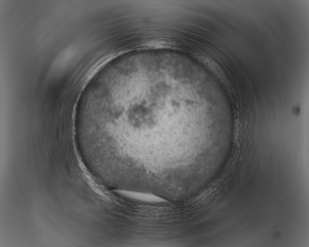 X0000116001039200912101312